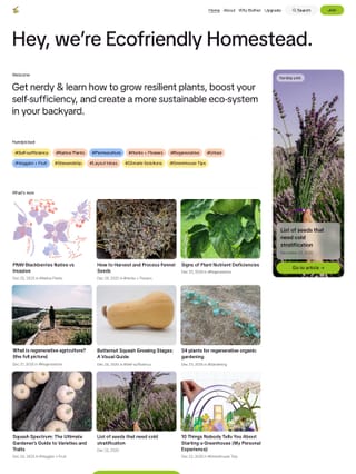 ecofriendlyhomestead.com link