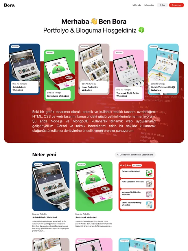 boraturkoglu.com